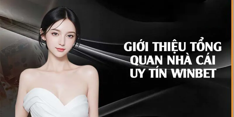 Khái quát một số thông tin về nền tảng Winbet